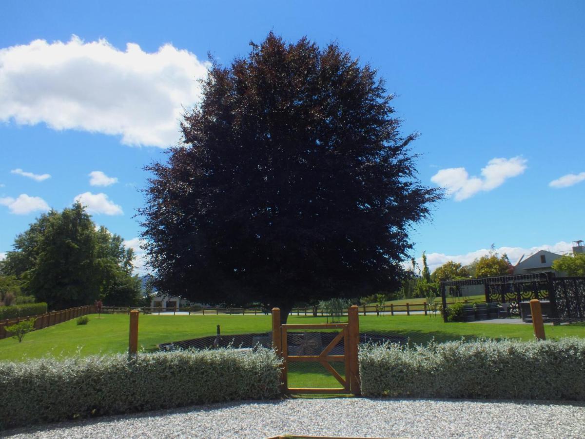Copper Beech Wanaka - Luxury Accommodation Exteriör bild